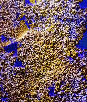 A 52C